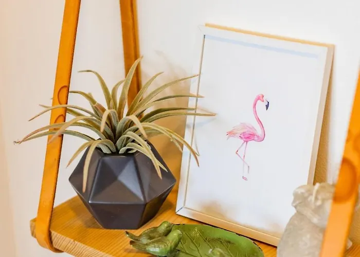 Casa Da Musica 5th High *